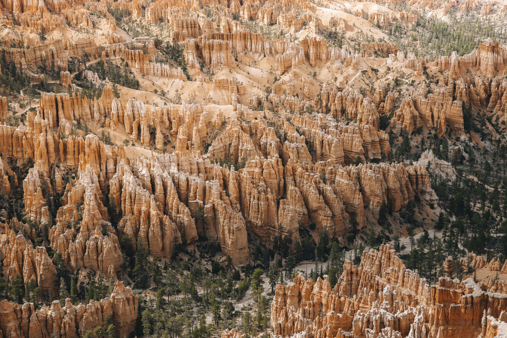 Bryce Canyon pendant un road trip dans l'Ouest américain