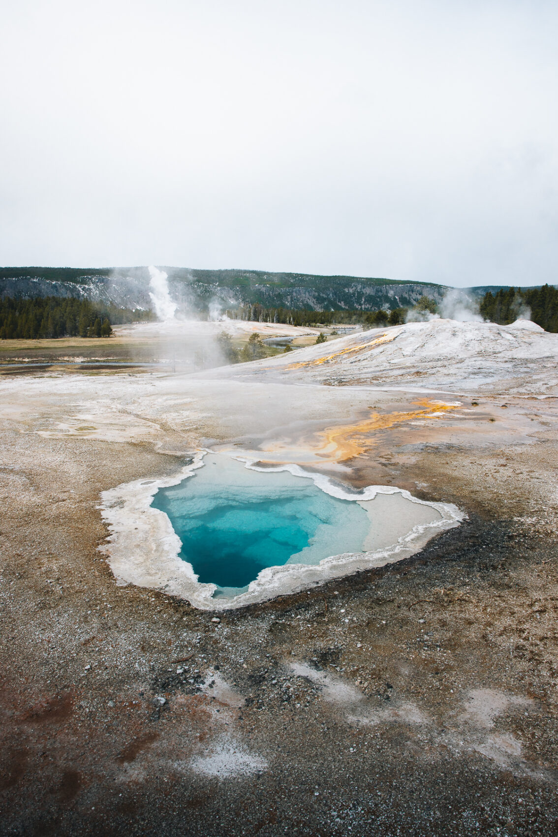 Yellowstone National Park pendant un road trip dans l'Ouest américain