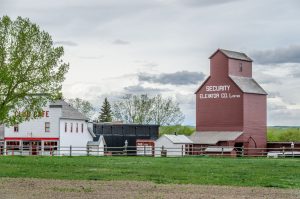 Road trip dans l'ouest du Canada : Itinéraires et incontournables - 🦖 Drumheller et le Parc provincial Dinosaur